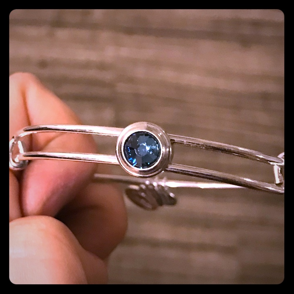 Alex and Ani Bangle-Light Blue Stone-Silver